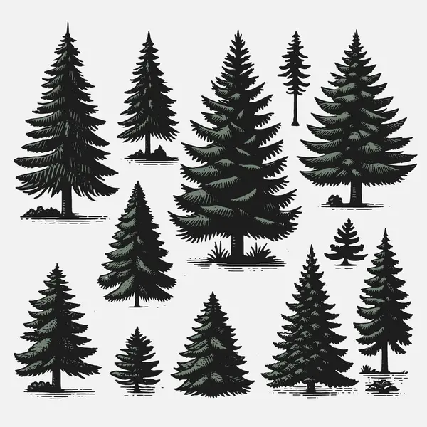 Çam koleksiyonu, farklı ağaç vektörleri