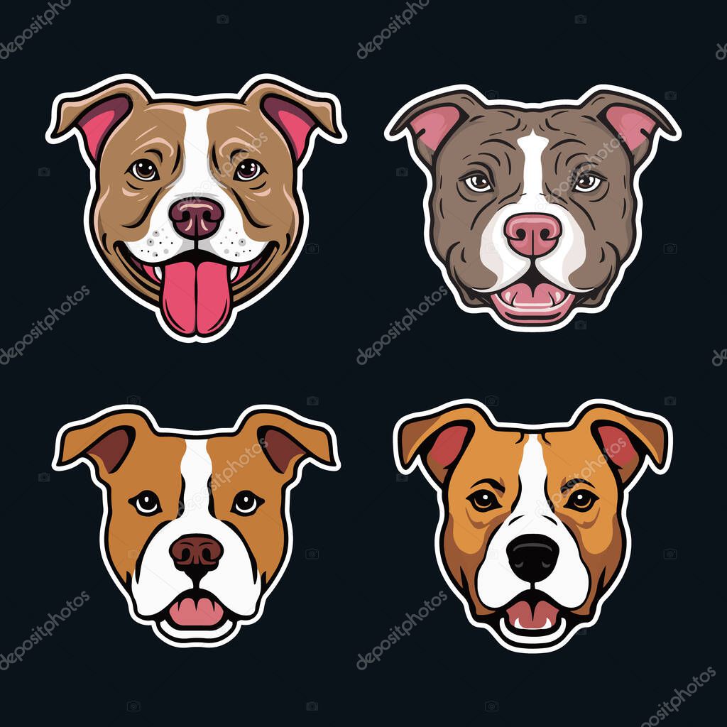 A Collection of Pitbull Dog Heads Vector