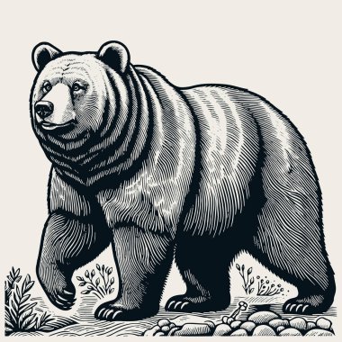 El yapımı ayı, asgari linocut tarzında. Siyah ve beyaz grafik çizimi