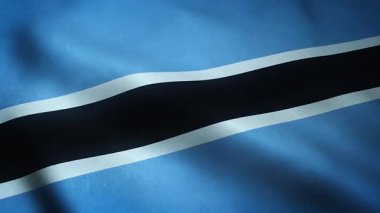 İlginç dokuları olan Sallanan Bayrak Botswana 'nın Yakın Çekimi