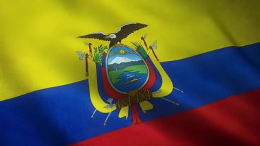 İlginç dokuları olan Sallanan Bayrak Ekvator 'un Yakın Çekimi