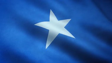 İlginç dokuları olan Sallanan Bayrak Somali 'nin Yakın Çekimi