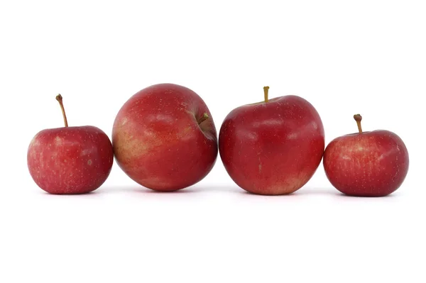 stock image Freshly picked red apples of different sizes isolated on a white background