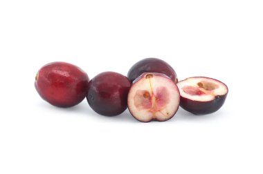 Beyaz arka planda yaban mersini ve taze yaban mersini izole edilmiş.