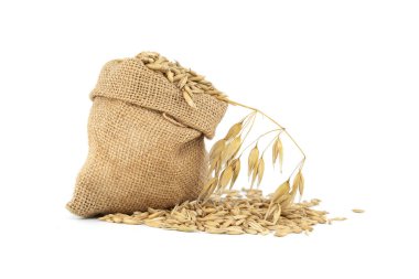 Oat grains with hulls or husks in burlap bag isolated on a white background. Agriculture, diet and nutrition. Common oat or Avena sativa