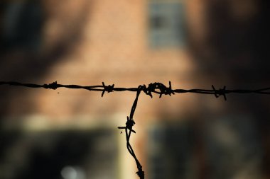 Bobinlerin siluetini kapat paslı dikenli tel, bulanık arkaplan üzerine.