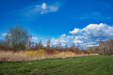 Lush green grassy field bordered with woodland trees and colorful shrubs under a cloudy blue sky in a scenic seasonal landscape