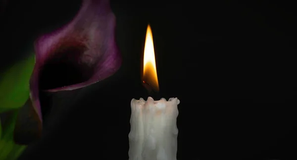 Candle flame and purple flowers of the of the Calla lily illuminated by the candlelight in the darkness with free copy space