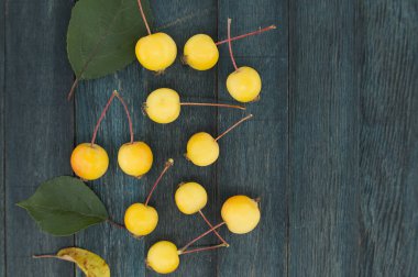 Avrupa yaban elması veya yaban elması (Malus sylvestris) mavi ahşap vintage arkaplan üzerinde, kopya alanı ile üst görünüm