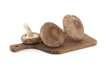 Fresh shiitake mushrooms isolated on white background. Lentinula edodes - medicinal herbs and fungi