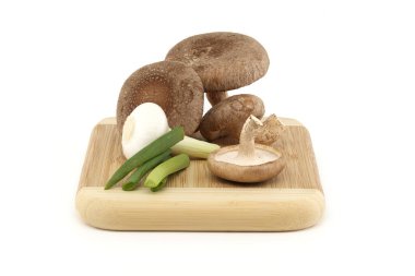 Fresh shiitake mushrooms, various onions on a wooden cutting board isolated on white background. Fungi recipes and medicinal herbs