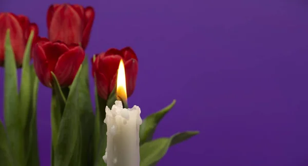 Banner Velikost Obrázek Hořící Svíčky Červené Tulipány Proti Fialové Pozadí — Stock fotografie
