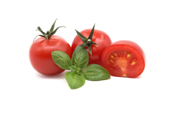 stock image Cherry tomatoes with basil leaves isolated on white background