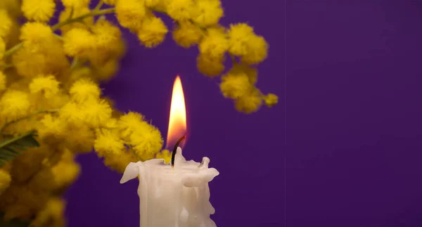 テキストのための無料コピースペースと紫の背景に燃えるろうそくと黄色のミモザの花のバナーサイズの画像 — ストック写真
