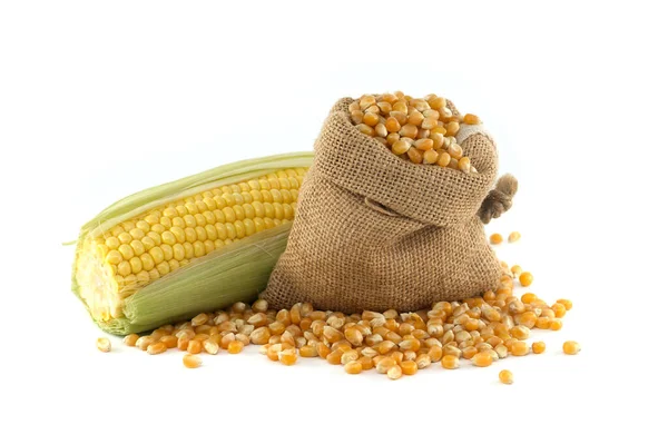 Corn Kernels Spilling Hessian Bag Fresh Maize Corn Cob Leaves — Stock Photo, Image