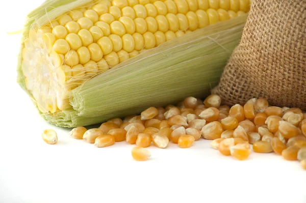 Corn Kernels Spilling Hessian Bag Fresh Maize Corn Cob Leaves — Stock Photo, Image