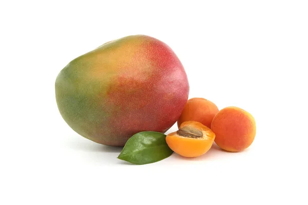 Wielokolorowe Dojrzałe Owoce Mango Całe Połowicznie Dojrzałe Owoce Moreli Izolowane — Zdjęcie stockowe