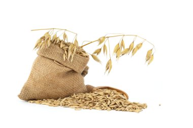 Oat grains with hulls or husks in burlap bag isolated on a white background. Agriculture, diet and nutrition. Common oat or Avena sativa