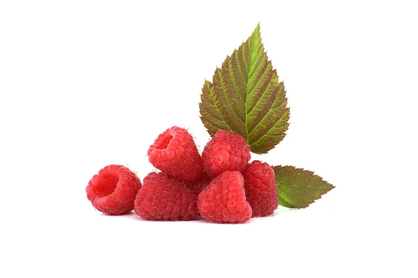 红色成熟的覆盆子浆果 侧视图 白色背景孤立 — 图库照片