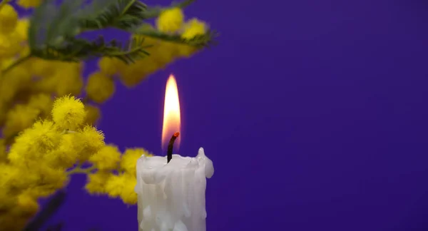 Baner Rozmiar Obraz Płonącej Świecy Żółte Kwiaty Mimozy Niebieskim Tle — Zdjęcie stockowe