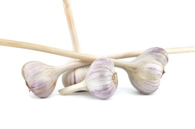 Beyaz arka planda taze toplanmış sarımsak soğanları ve karanfiller.