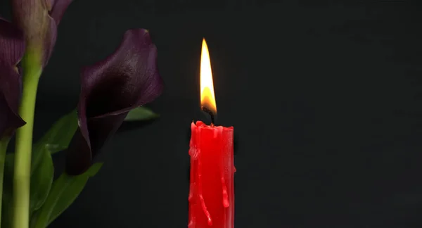 Banner Size Image Burning Candle Purple Sepals Calla Lily Black — Zdjęcie stockowe