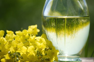 Sarı tecavüz tarlaları ve kanola ya da kolza çiçekleri yansıyan kolza yağı sürahisi.