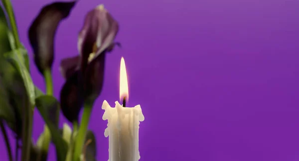 テキストのための無料のコピースペースを持つ紫の背景にカラユリの燃えるろうそくと紫色の萼片のバナーサイズの画像 — ストック写真