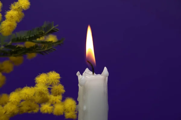 Burning Candle Mimosa Flowers Bunch Purple Background Free Copy Space — Stock Photo, Image