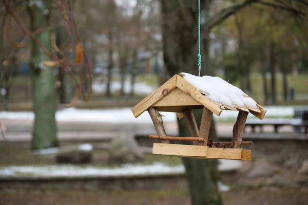 Alimentador Aves Silvestres Madera Cubierta Nieve Que Cuelga Una Rama — Foto de Stock