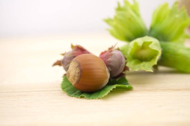 Genç fındıklar ve olgun fındıklar ahşap masada metin için fotokopi alanı ile