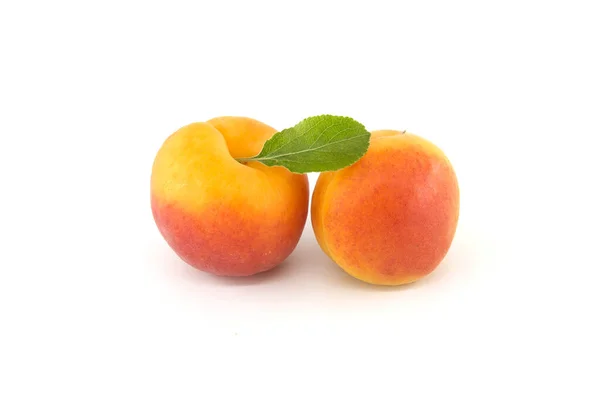Whole Apricot Fruits Leaf Isolated White Background — Stock Photo, Image