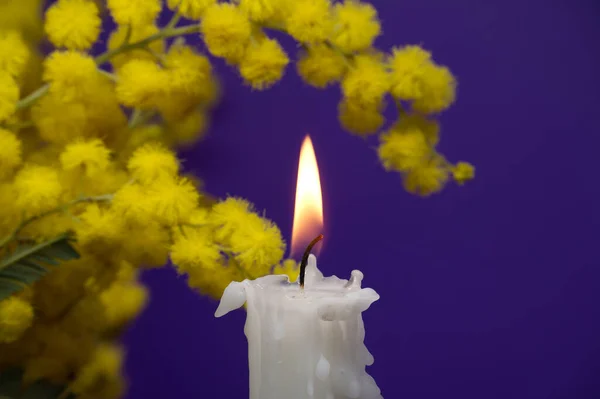 燃えるろうそくとミモザの花束に対してA紫の背景とともにフリーコピースペースのためのテキスト — ストック写真