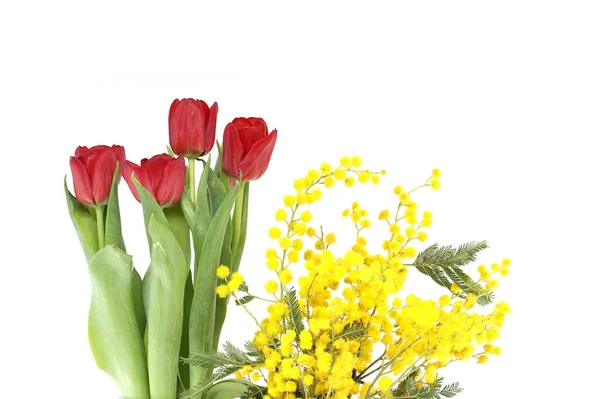 หลาบม โมซ และดอกท แดง แยกจากพ นหล ขาว สเตอร คอนเซปต นาคม — ภาพถ่ายสต็อก