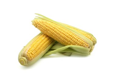 Taze çiğ mısır ya da mısır koçanda beyaz arka planda izole edilmiş yapraklar, düşük açılı görünüm
