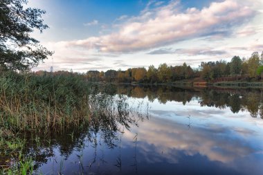 Ağaçlar, gökyüzü ve bulutların yansıdığı güzel bir su kütlesi manzarası. Su yemyeşil ağaçlarla çevrili, bazılarının sarı yaprakları var.