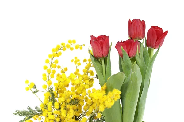 อดอกไม โมซ เหล และดอกท แดง แยกจากพ นหล ขาว สเตอร คอนเซปต — ภาพถ่ายสต็อก