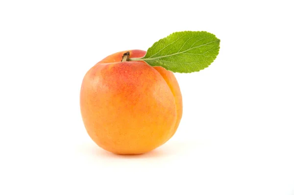 Vers Geheel Abrikozenfruit Met Blad Geïsoleerd Witte Ondergrond — Stockfoto