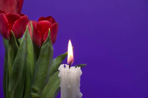 Спалювання Свічки Червоних Тюльпанів Фіолетовому Фоні Вільним Місцем Тексту — стокове фото