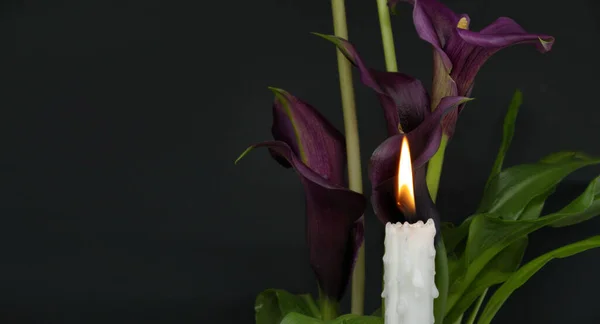 テキストのための無料のコピースペースと黒の背景にカラユリの燃えるろうそくと紫色の萼片のバナーサイズの画像 — ストック写真