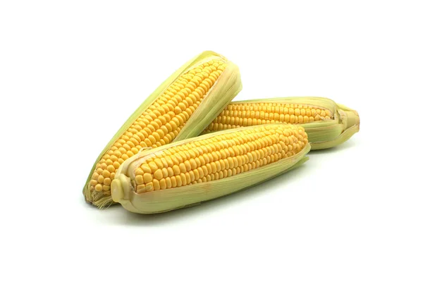 Fresh Raw Maize Corn Cob Leaves Isolated White Background Low — Stock Photo, Image