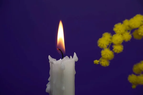 Горящая Свеча Букет Цветов Мимозы Фиолетовом Фоне Бесплатным Копированием Текста — стоковое фото