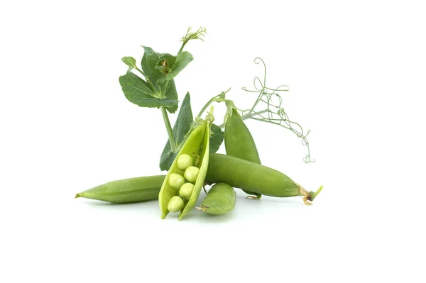 Φρέσκα Γλυκά Μπιζέλια Πράσινα Φύλλα Που Απομονώνονται Λευκό Φόντο Μπιζέλια — Φωτογραφία Αρχείου