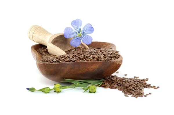 stock image Wooden bowl filled with linseed seeds and a vibrant purple flax flower isolated on white background