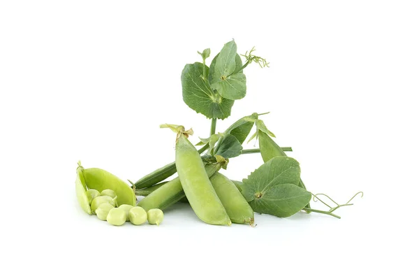 Frische Erbsenschoten Aus Dem Garten Mit Grünen Blättern Auf Weißem — Stockfoto