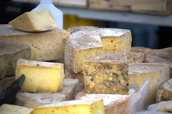 stock image The different types of hard cheese for sale on a farmers market, gourmet cheese assortment