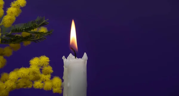 Lysflamme Gule Mimosablomster Opplyst Stearinlys Mot Mørkeblå Bakgrunn Med Fritt – stockfoto