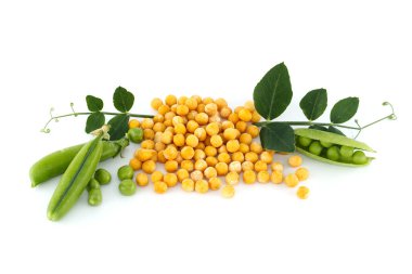 Yeşil bir yaprak, taze bezelye ve bezelye kabukları ile çevrili sarı kuru bezelyeler beyaz arka planda izole edilmiş, sağlıklı, bitki temelli diyet