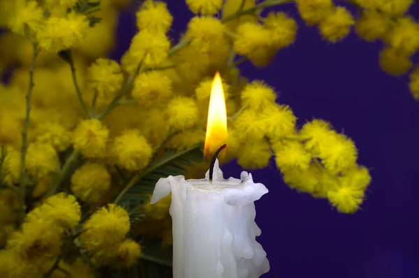Brännande Ljus Och Mimosa Blommor Bunt Mot Lila Bakgrund Med — Stockfoto