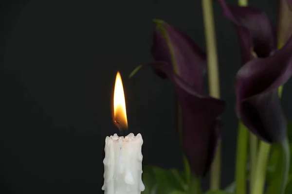 在黑暗中 烛光照亮了卡拉百合 Zantedeschia 的烛焰和紫色隔膜 并留有免费的复制空间 — 图库照片